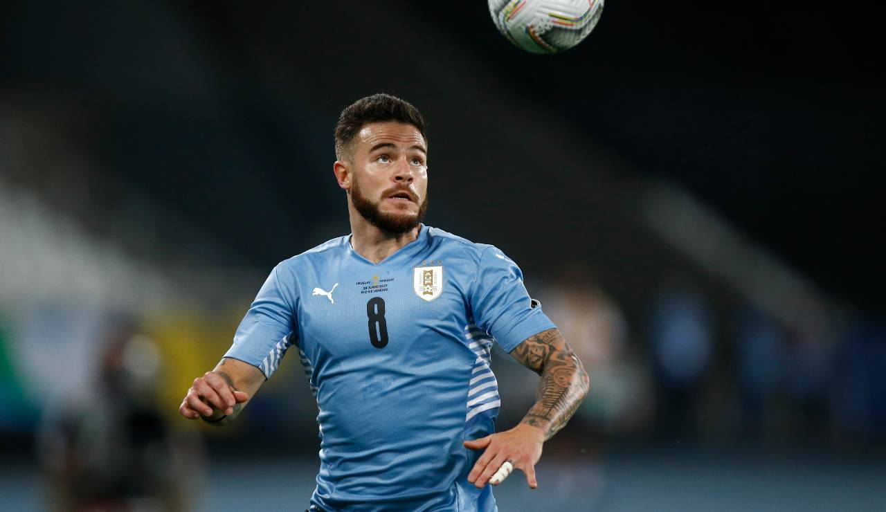 Nandez