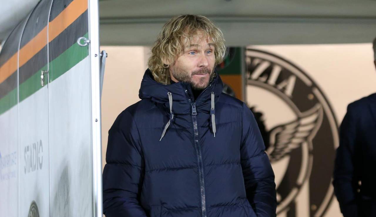 Nedved