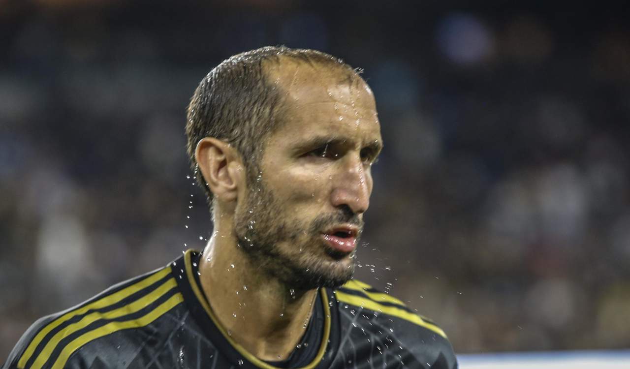 Insulti choc a Giorgio Chiellini