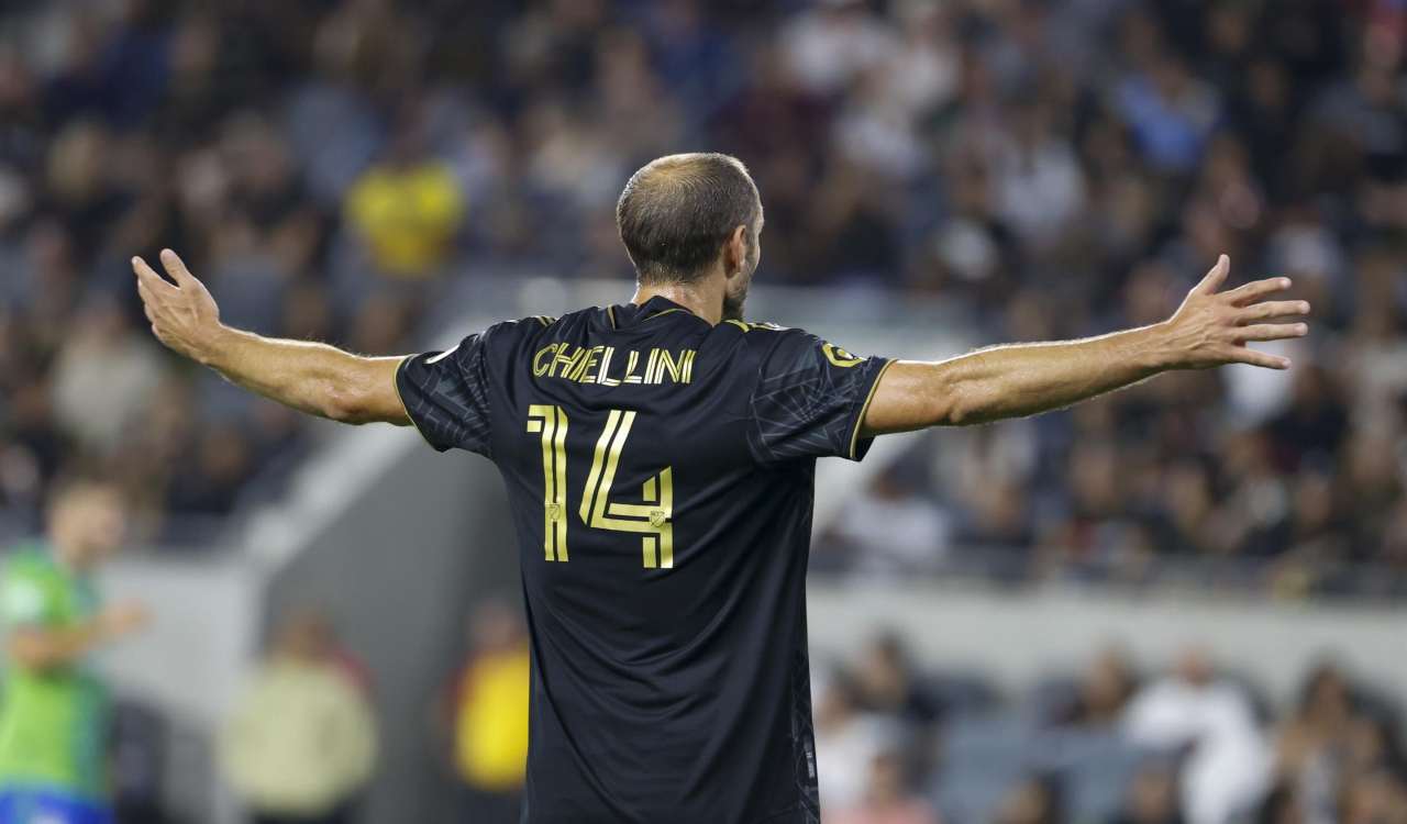 Insulti choc a Giorgio Chiellini