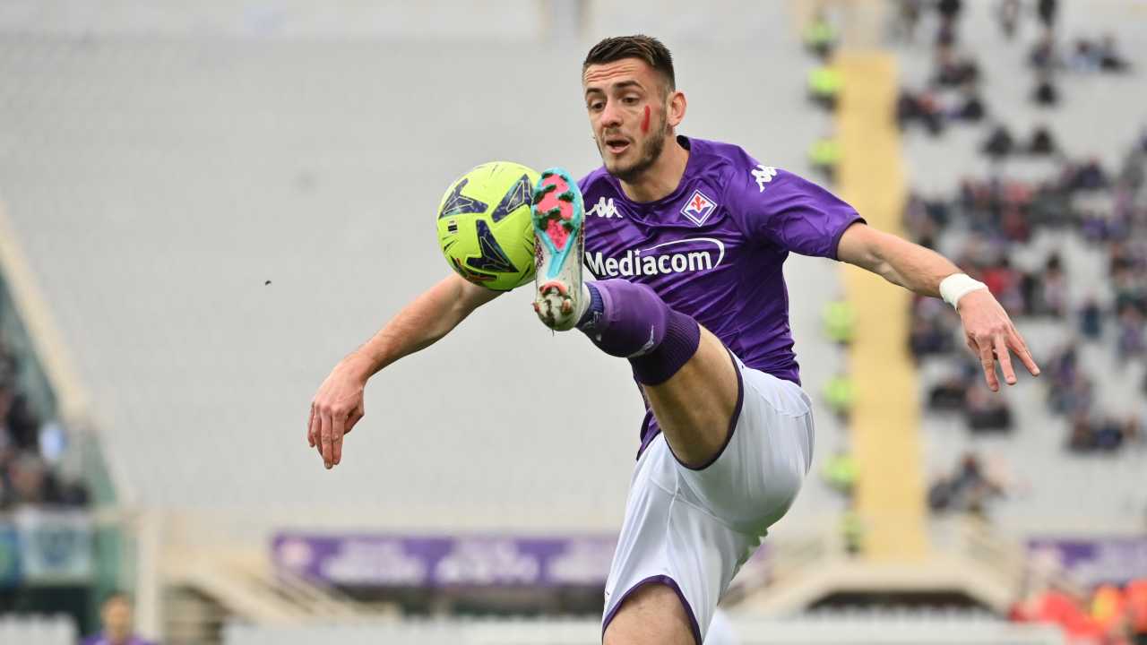 Aleksa Terzic Fiorentina