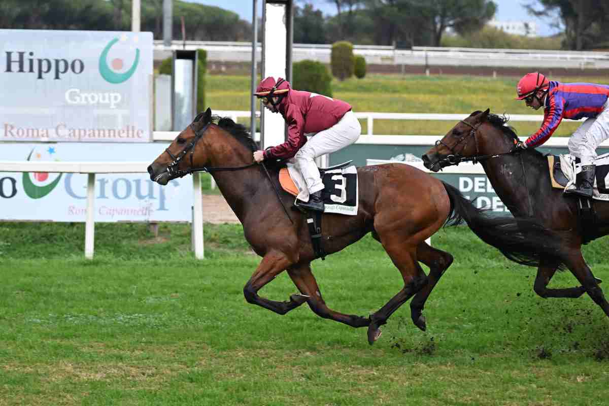 Allegri vittoria cavallo ippodromo Capannelle