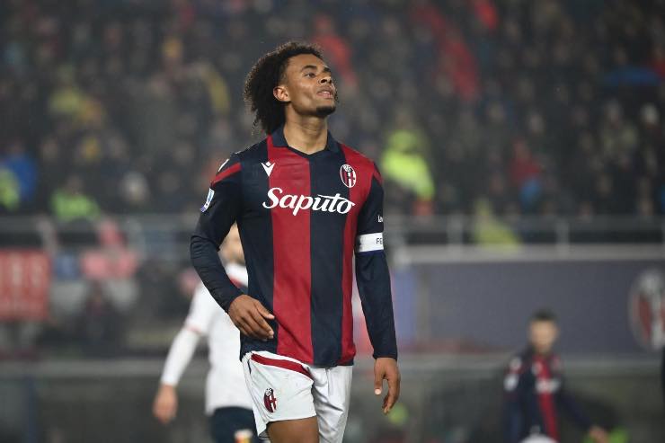 Zirkzee nel mirino del Milan