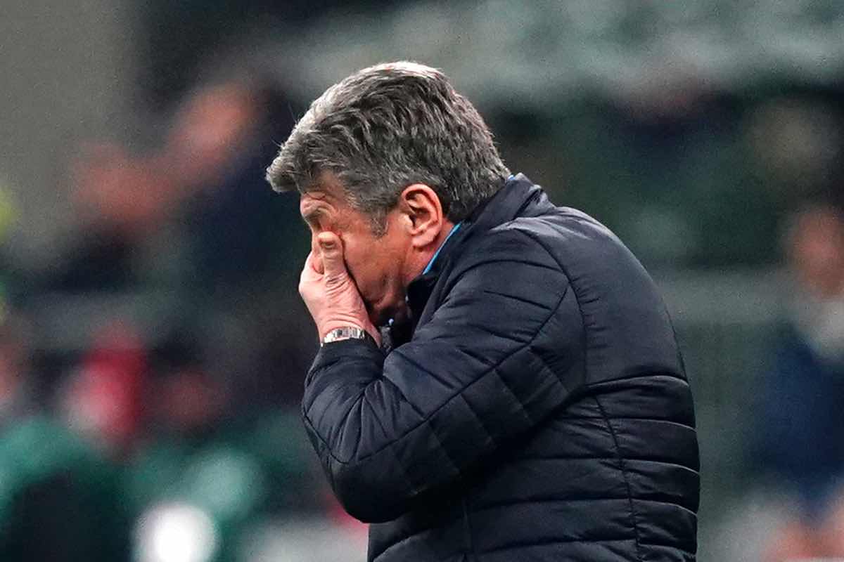 Ostigard contro Mazzarri