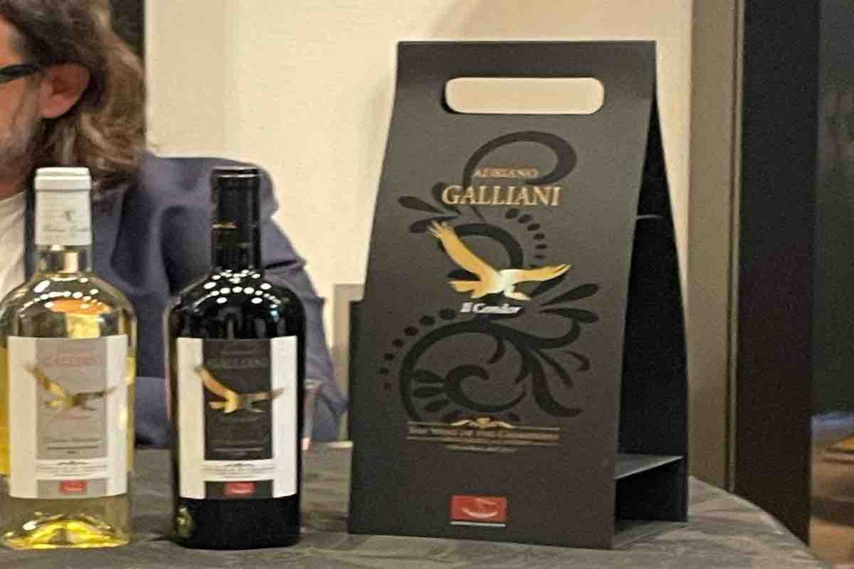 Il vino di Galliani